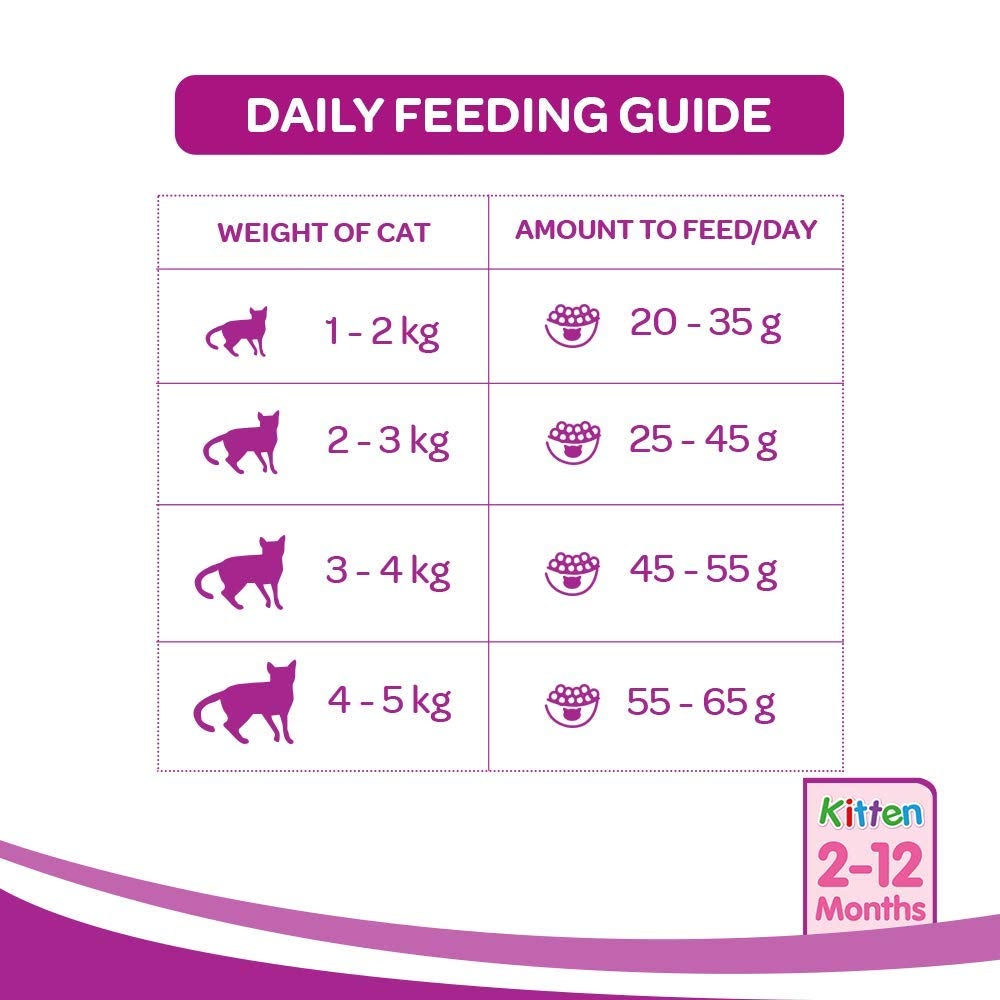 WHISKAS® Kitten Dry Food, Ocean Fish with Milk - 5