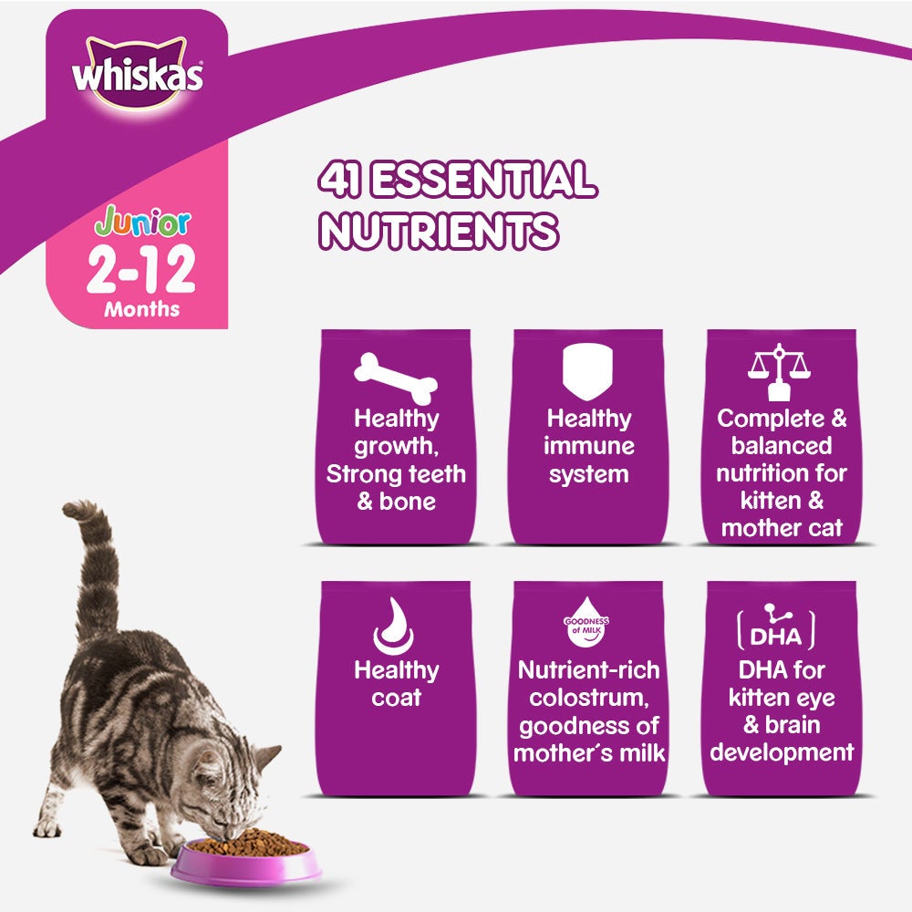 WHISKAS® Kitten Dry Food, Ocean Fish with Milk - 7