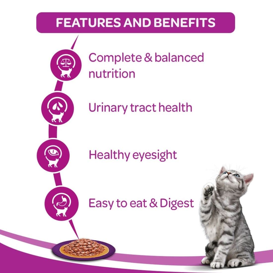 WHISKAS® Wet Cat Food for Adult Cats (1+Years), Ocean Fish, 12 Pouches (12 x 80g) - 4