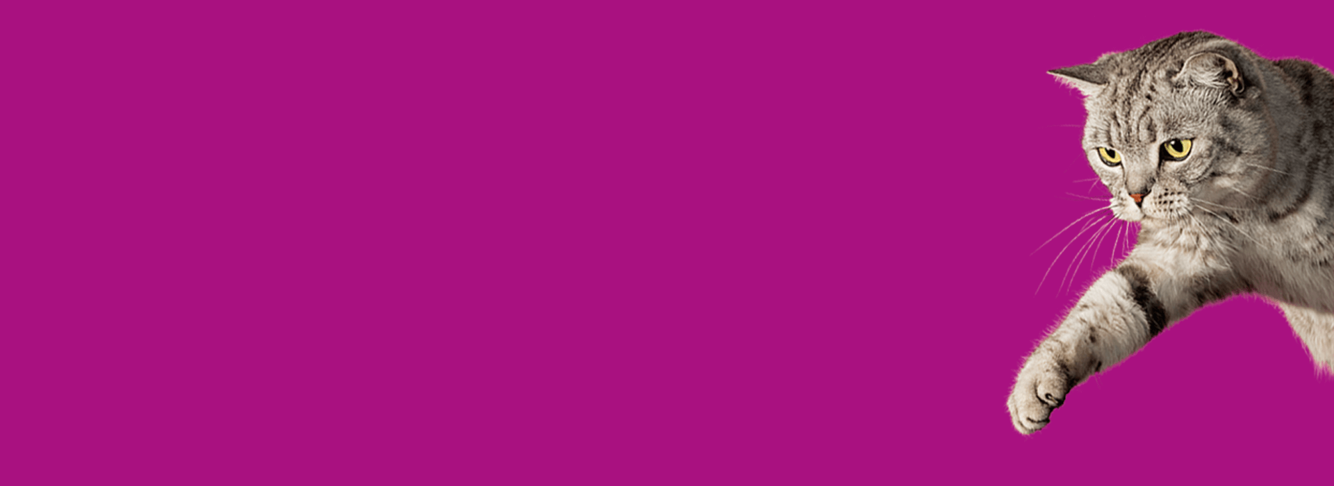 Generic4_1920x700