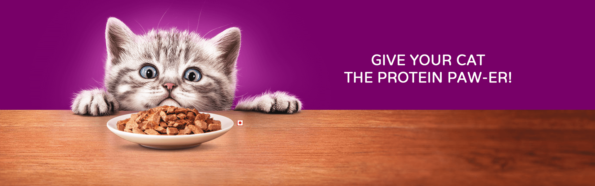 wet cat food image