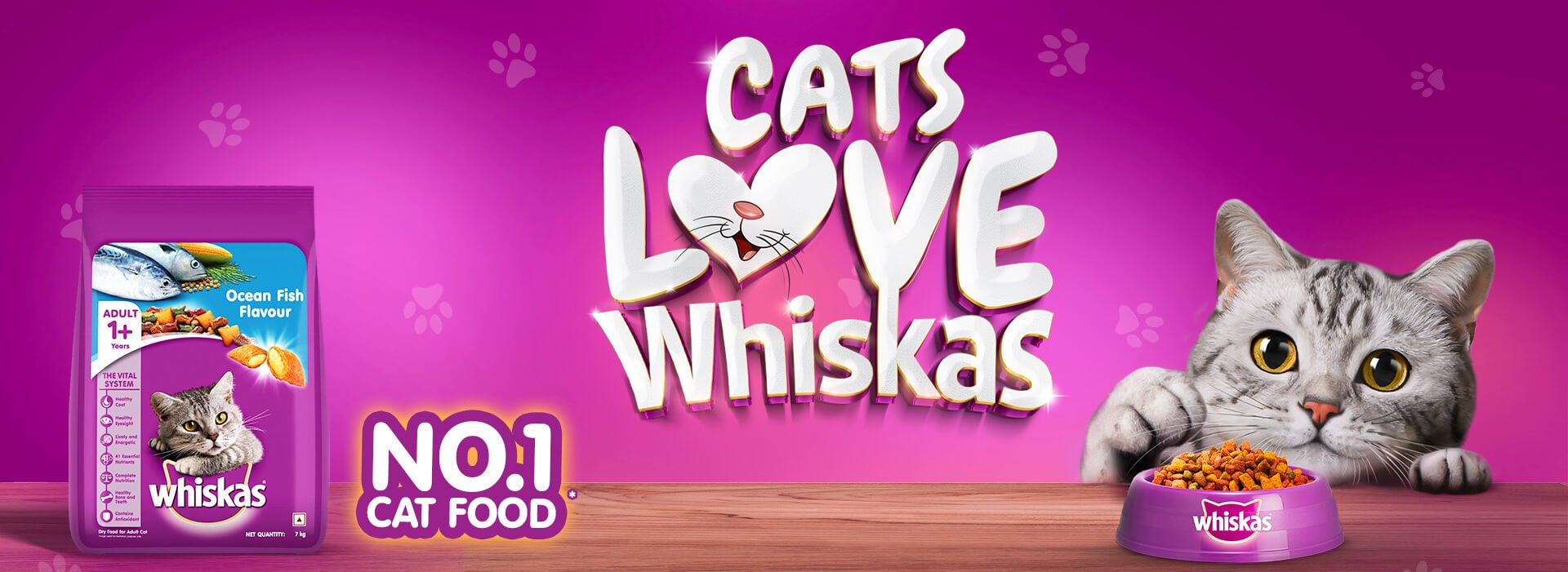 cats hero banner