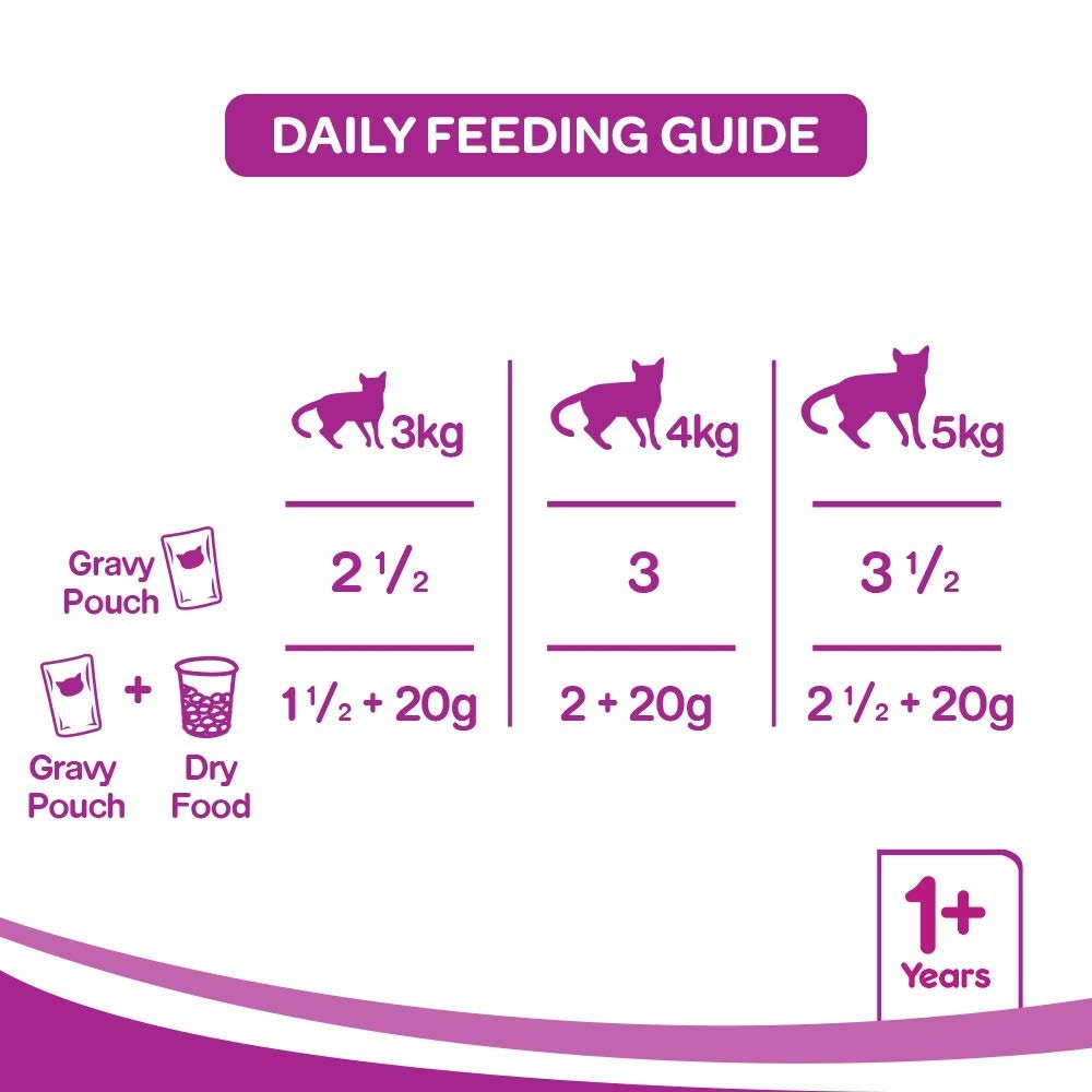 WHISKAS® Wet Food for Adult Cats (1+Years), Salmon in Gravy Flavour, 12 Pouches (12 x 80g) - 4