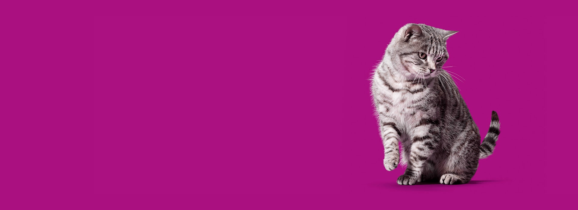 Generic_1920x700