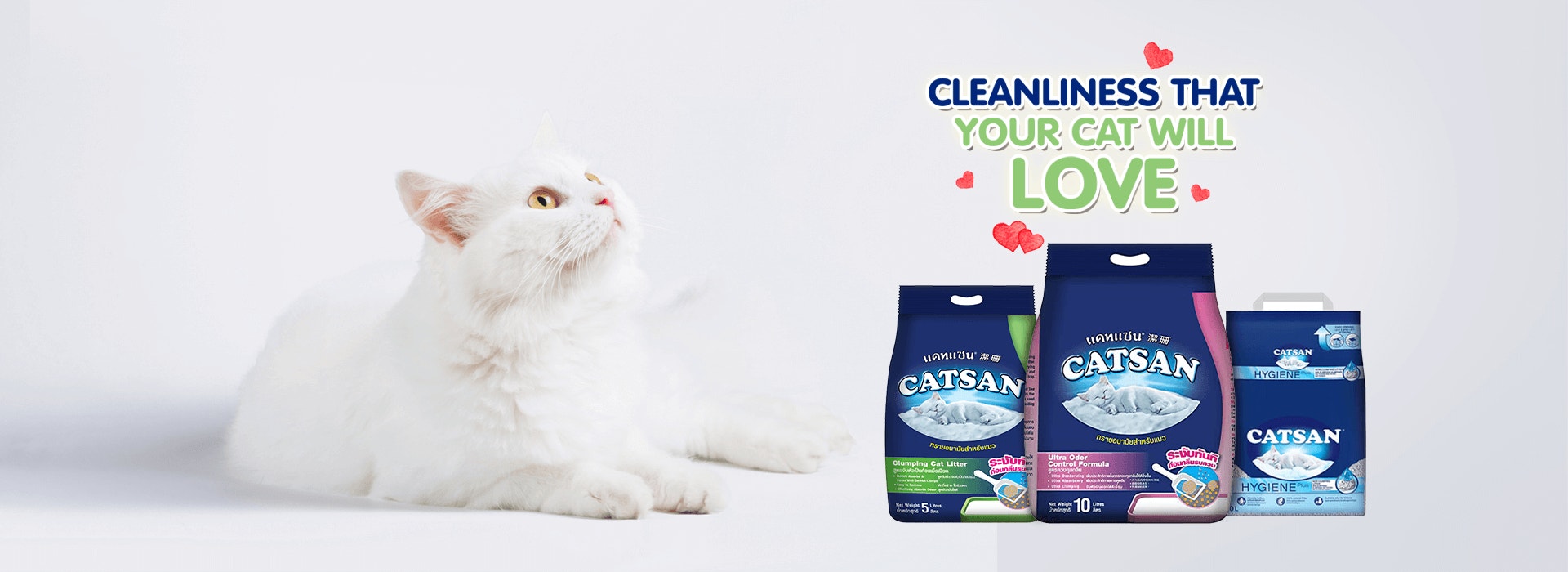 catsan hero banner