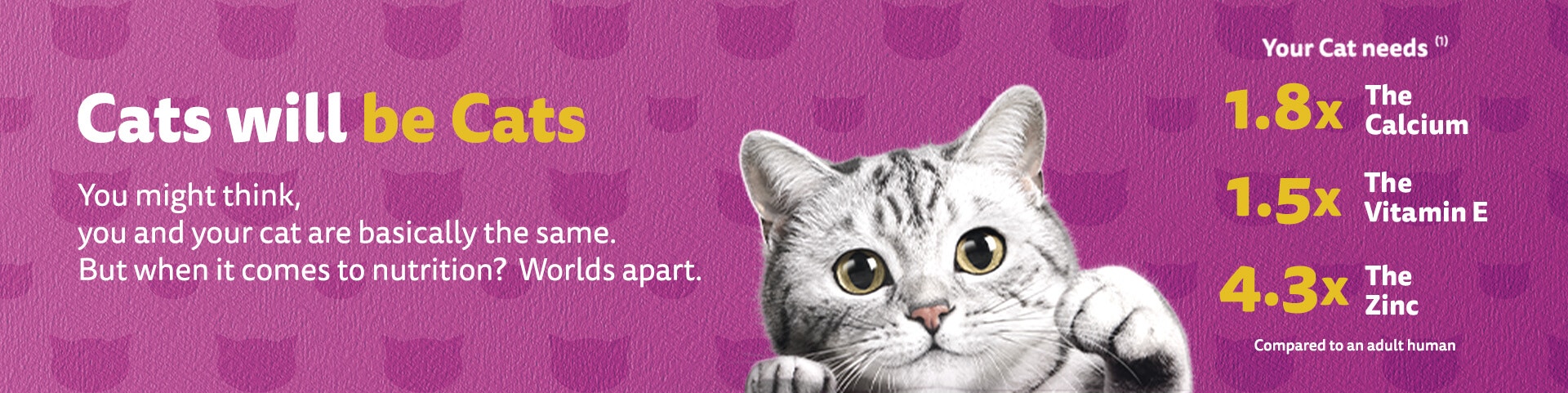 Cats will be cats