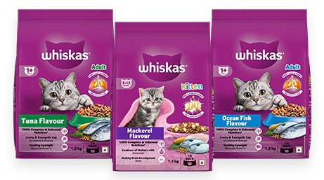 dry food