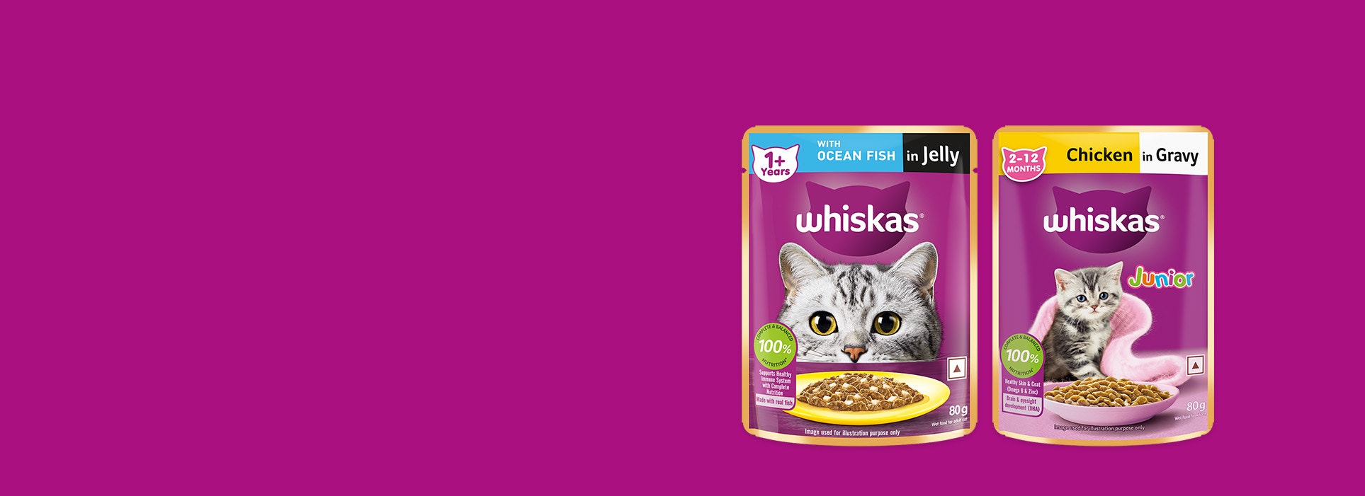 wet cat food
